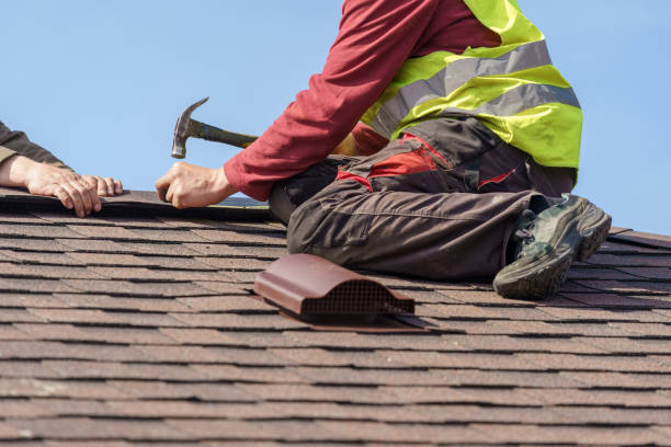 Best Metal Roofing Contractor  in Asbury, IA