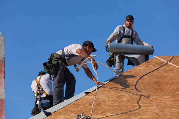 Best Storm Damage Roof Repair  in Asbury, IA