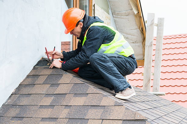 Best Roof Repair Services  in Asbury, IA