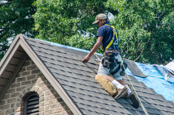 Professional Roofing Contractor in Asbury, IA