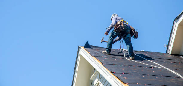 Best Roof Gutter Cleaning  in Asbury, IA